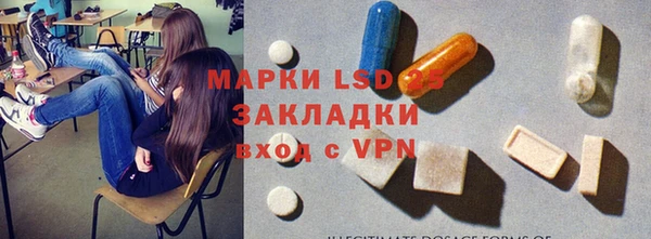 стаф Новокубанск