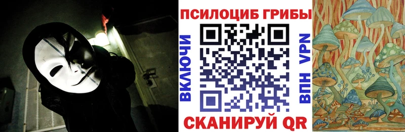 MEGA вход  Кизляр  Галлюциногенные грибы Cubensis 