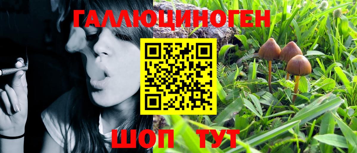Псилоцибиновые грибы GOLDEN TEACHER Кизляр