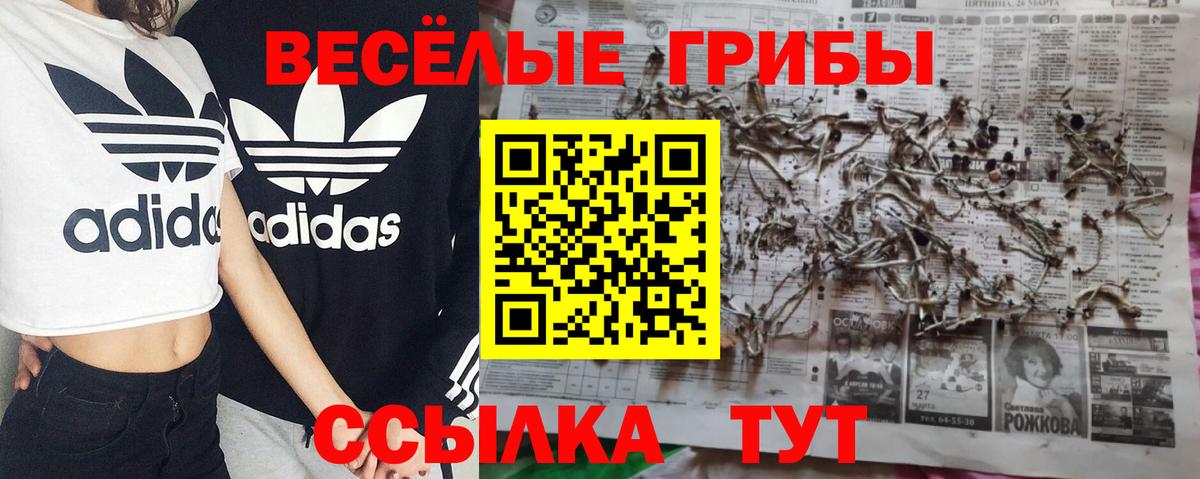 Галлюциногенные грибы прущие грибы  Кизляр 